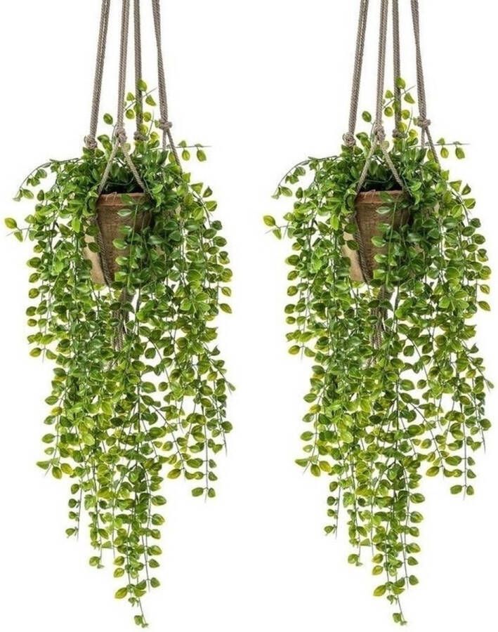 Bellatio Flowers & Plants 2x Kunstplant hangplant Ficus in pot met touwen 16 cm Nepplanten kunstplanten