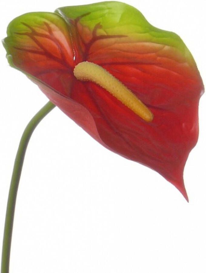 Bellatio Flowers & Plants 3x Kunstplant rood met groene anthurium 78 cm Kunstplanten nepplanten