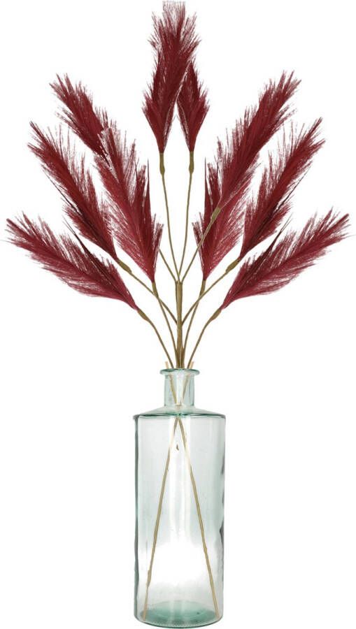 Bellatio Flowers & Plants Decoratie pampasgras pluimen in vaas gerecycled glas bordeaux rood 98 cm Tafel bloemstukken