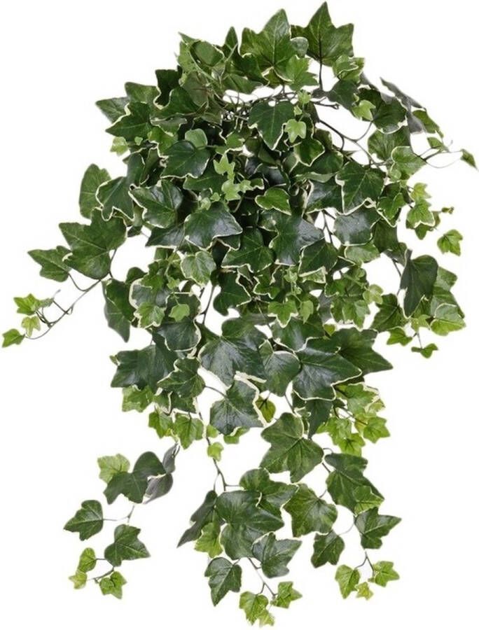 Bellatio Flowers & Plants Groene witte Hedera Helix klimop kunstplant 65 cm voor buiten UV kunstplanten nepplanten Weerbestendig