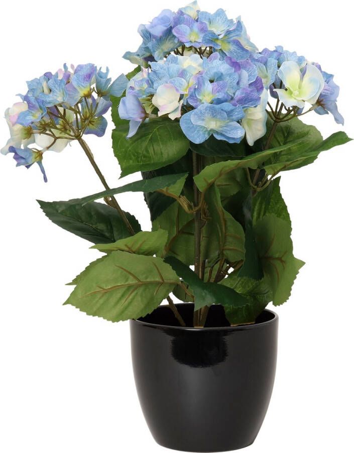Bellatio Flowers & Plants Hortensia kunstplant met bloemen blauw in pot zwart 40 cm hoog