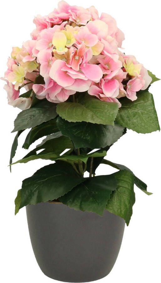 Bellatio Flowers & Plants Hortensia kunstplant met bloemen lichtroze in pot antraciet grijs 40 cm hoog