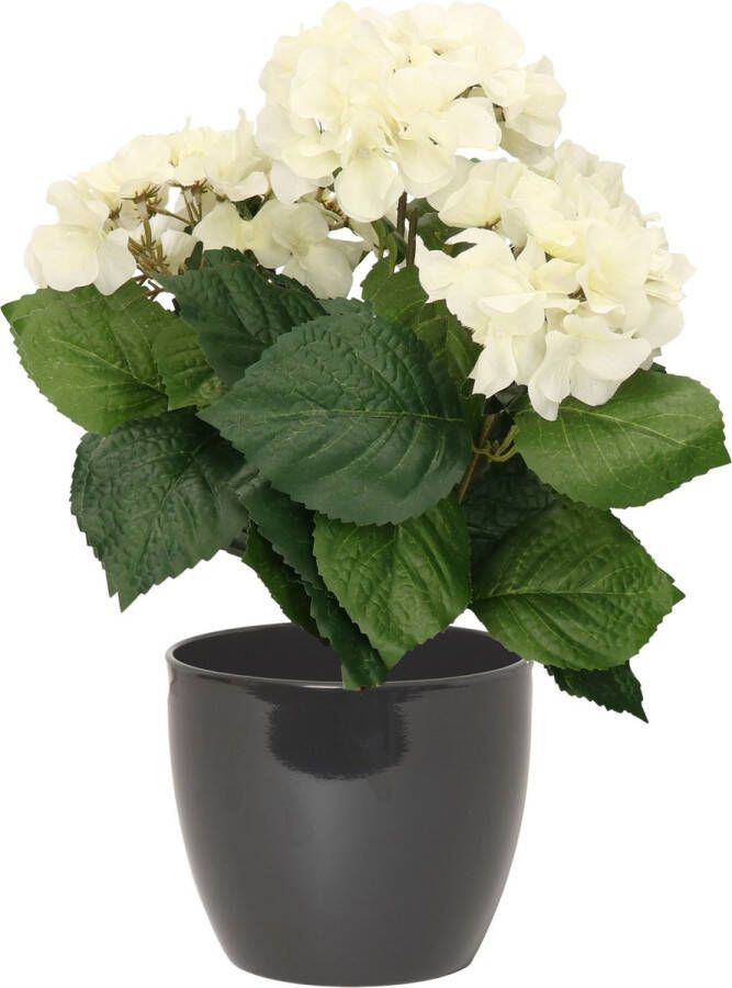 Bellatio Flowers & Plants Hortensia kunstplant met bloemen wit in pot antraciet grijs 40 cm hoog