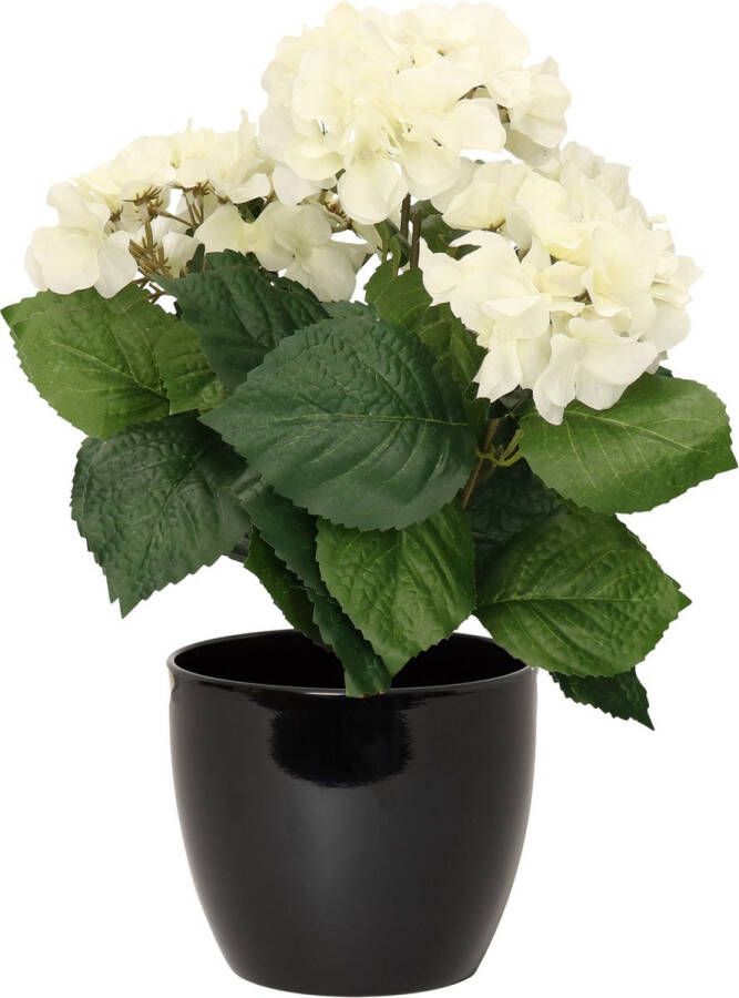 Bellatio Flowers & Plants Hortensia kunstplant met bloemen wit in pot zwart 40 cm hoog