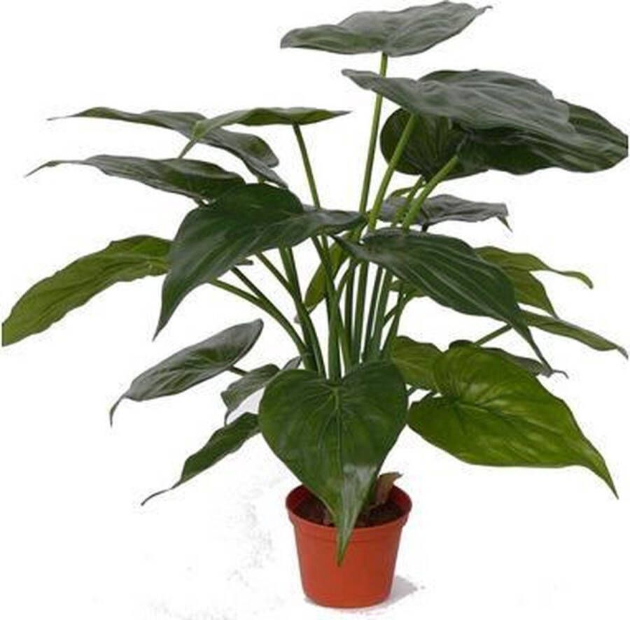 Bellatio Flowers & Plants Kunst alocasia olifantsoor plant 51 cm
