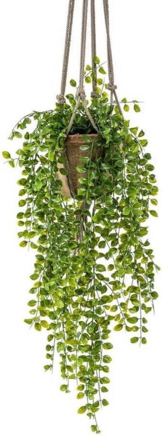 Bellatio Flowers & Plants Kunstplant ficus succelent hangplant groen 80 cm kunst kamerplant