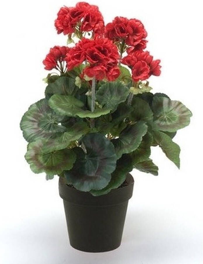 Bellatio Flowers & Plants Kunstplant Geranium rood in pot 35 cm Kamerplant rode Geranium