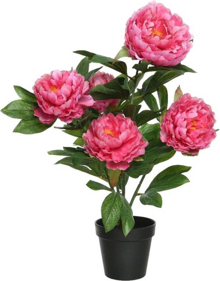 Bellatio Flowers & Plants Roze Paeonia pioenroos rozenstruik kunstplant 57 cm in zwarte plastic pot Kunstplanten nepplanten Pioenrozen