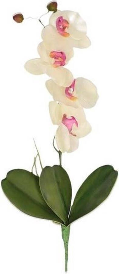 Bellatio Flowers & Plants Roze wit Orchidee Phalaenopsis kunstplant 44 cm voor binnen kunstplanten nepplanten binnenplanten