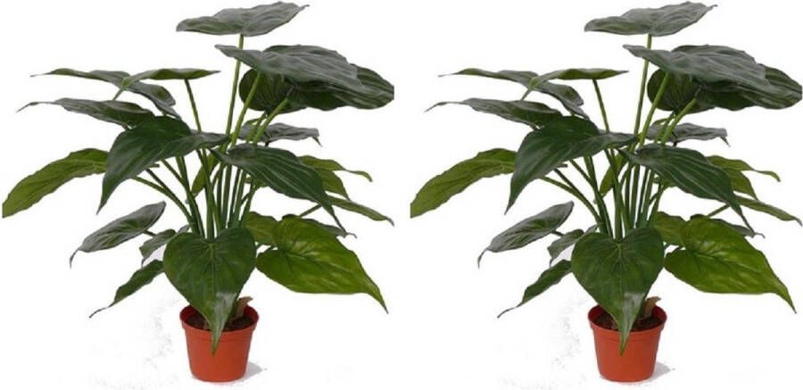 Bellatio Flowers & Plants Set van 2x stuks kunstplanten alocasia olifantsoor groen 51 cm Groene huis of kantoor nepplanten