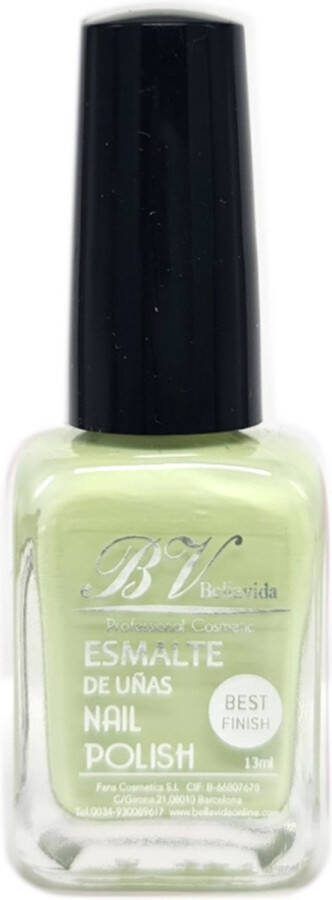 Bellavida Nail Polish N 100