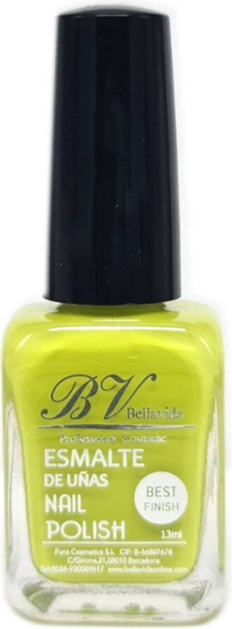 Bellavida Nail Polish N 101