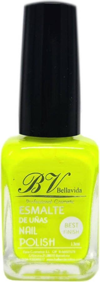 Bellavida Nail Polish N 118