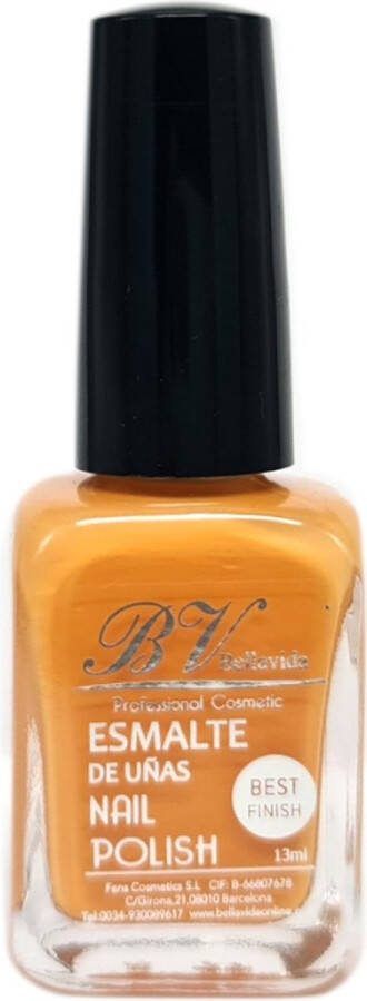 Bellavida Nail Polish N 96
