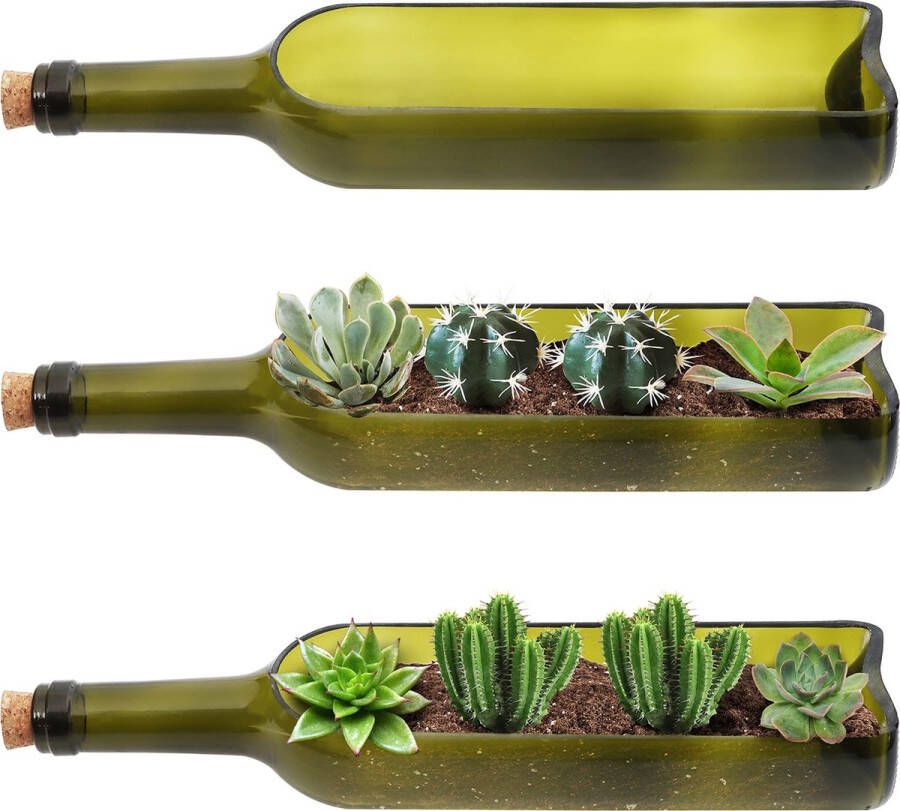 BELLE VOUS Glazen Wijnfles Vetplanten Bakken (3 Stuks) L32 x W7 1 cm Ovaal Uitgesneden Gedeelte Voor Planten Bloemen Cactussen Bamboe Tuin Terrarium & Doe-het-zelf Decoratie