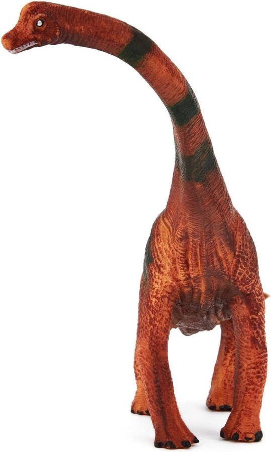 Belmarkt Kinderen Brachiosaurus Dinosaurus Figuur Speelgoed (26cm Lengte) Realistisch Gedetailleerde Dino Collectie voor Kinderen Actiefiguren voor Speelplezier & Leren