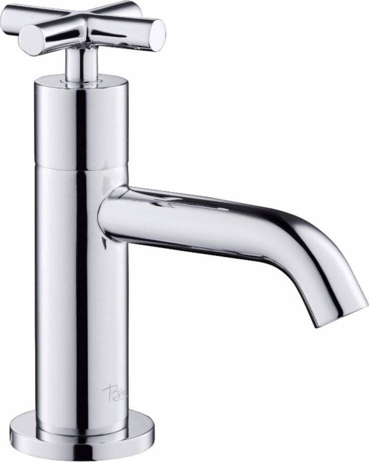 Ben Accross Fonteinkraan 15.00 cm Chroom Toiletkraan Koudwaterkraan WC Kraan