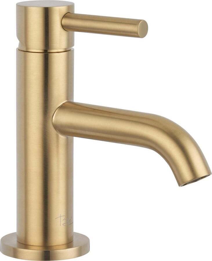Ben Lavion Fonteinkraan 13.80 cm Messing Toiletkraan Koudwaterkraan WC Kraan