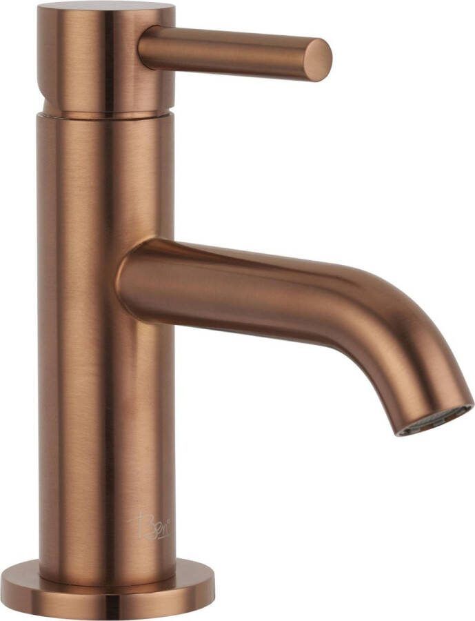 Ben Lavion Fonteinkraan 13.80 cm Koper Toiletkraan Koudwaterkraan WC Kraan