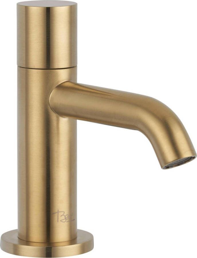 Ben Lavion Fonteinkraan 13.00 cm Goud-look Messing Toiletkraan Koudwaterkraan WC Kraan