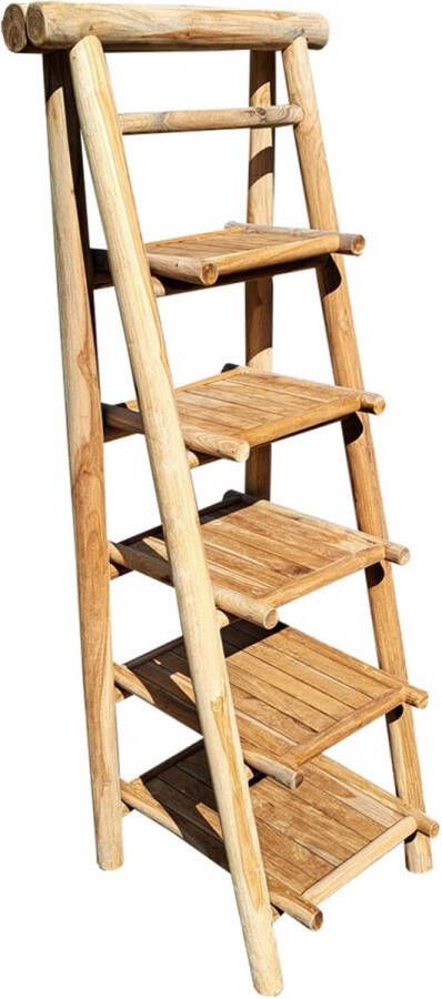 Benoa Benton Folding Wall Rack 50 cm