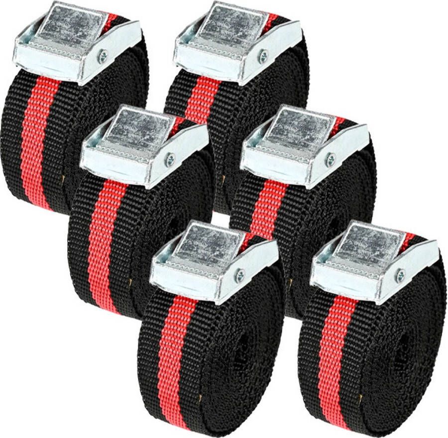 Benson Spanbanden 6x 2 5 meter voor dekzeilen aanhanger transport bus spanband