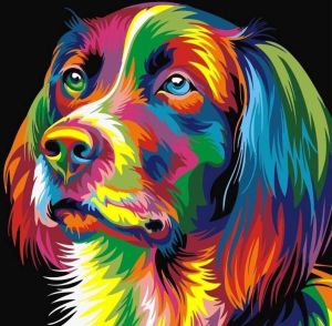 Best Pause Hond multikleur Schilderen op nummer voor volwassenen 40x50 cm DIY Hobby Pakket