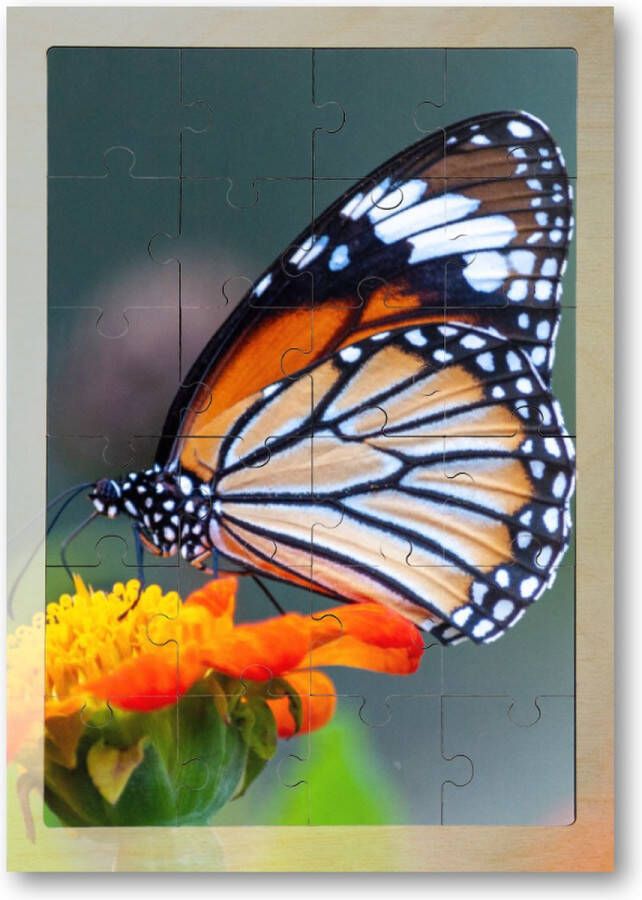 Besteposter Close-up shot van een prachtige vlinder op een bloem met oranje bloemblaadjes 24 Stukjes Houten Puzzel