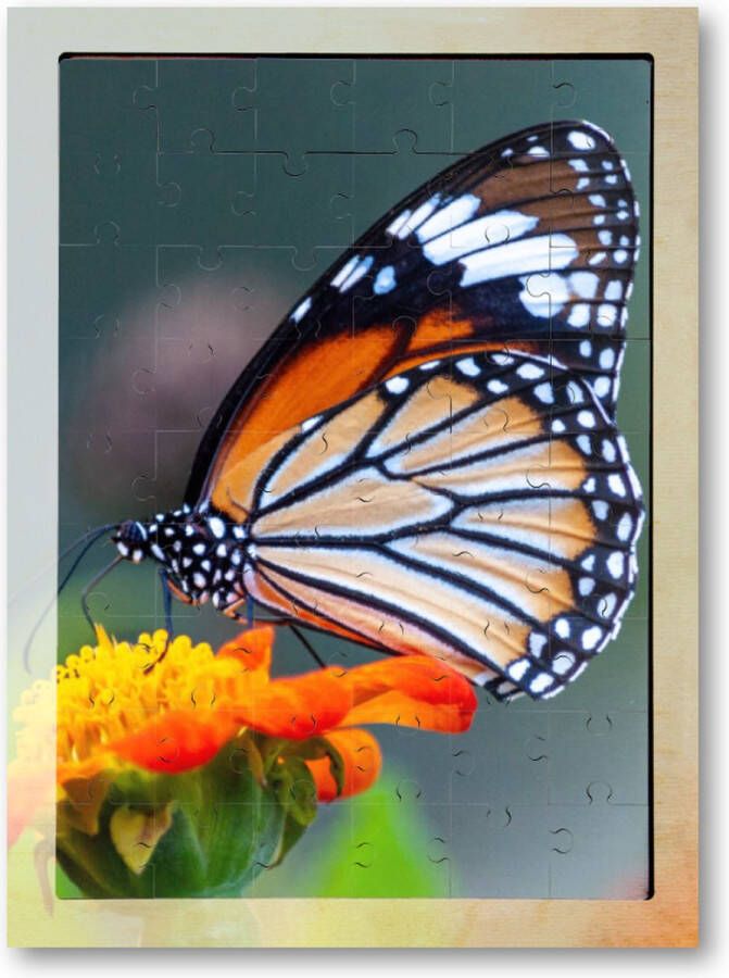 Besteposter Close-up shot van een prachtige vlinder op een bloem met oranje bloemblaadjes 54 Stukjes Houten Puzzel
