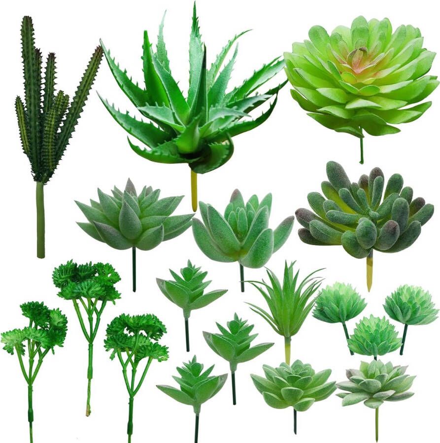 Besuche den Cayway-Store Natuurlijke groene kunstmatige vetplanten mix 18 stuks succulenten voor binnen ideaal voor thuisdecoratie indoor feeëntuin en meer