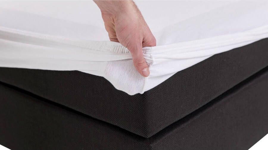 Beter Bed Select Jersey Hoeslaken voor Matras 100% Katoen 160 x 200 210 220 cm Wit