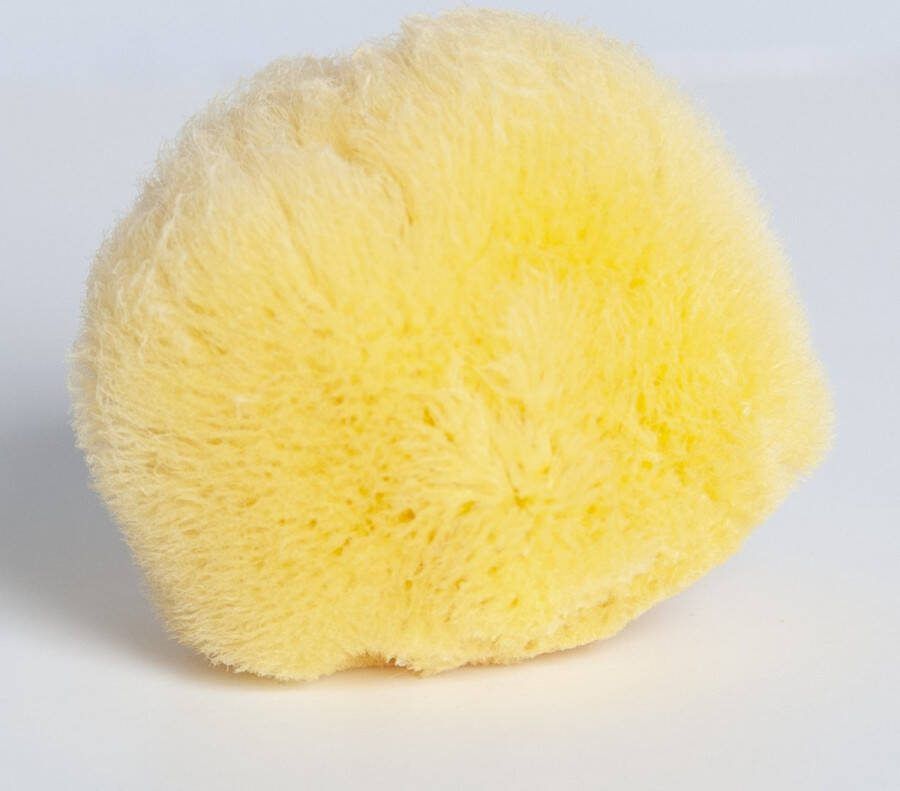 Bibabad Natuurspons Extra Fijn Badspons Voor Baby Spons ca 10 cm