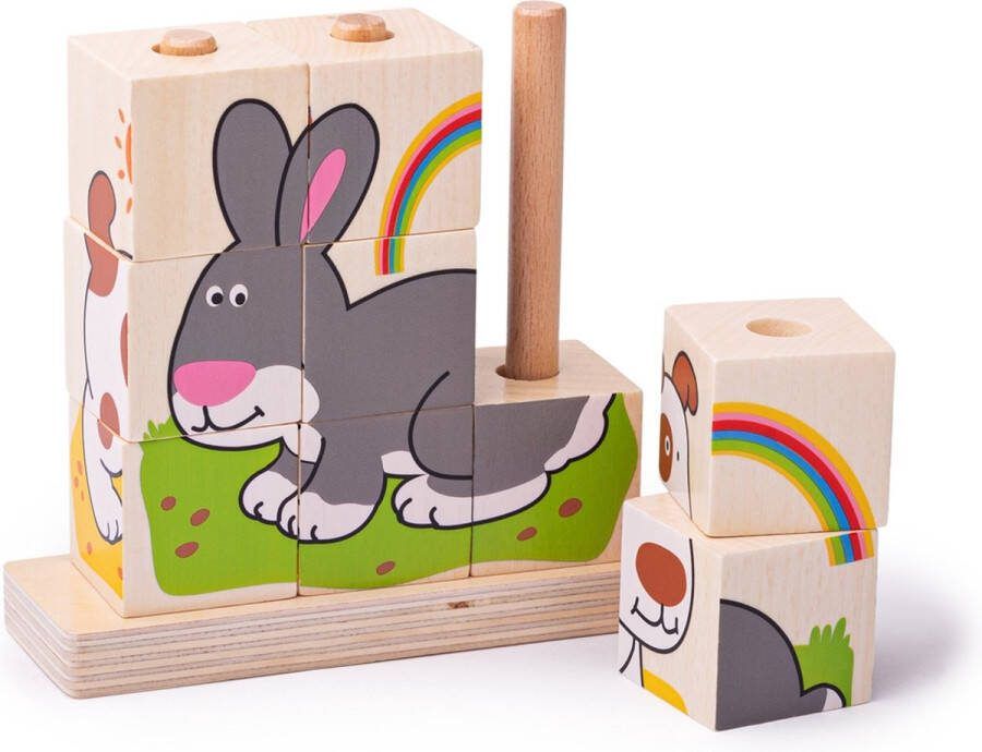 BIGJIGS Blokpuzzel Huisdieren 10dlg.
