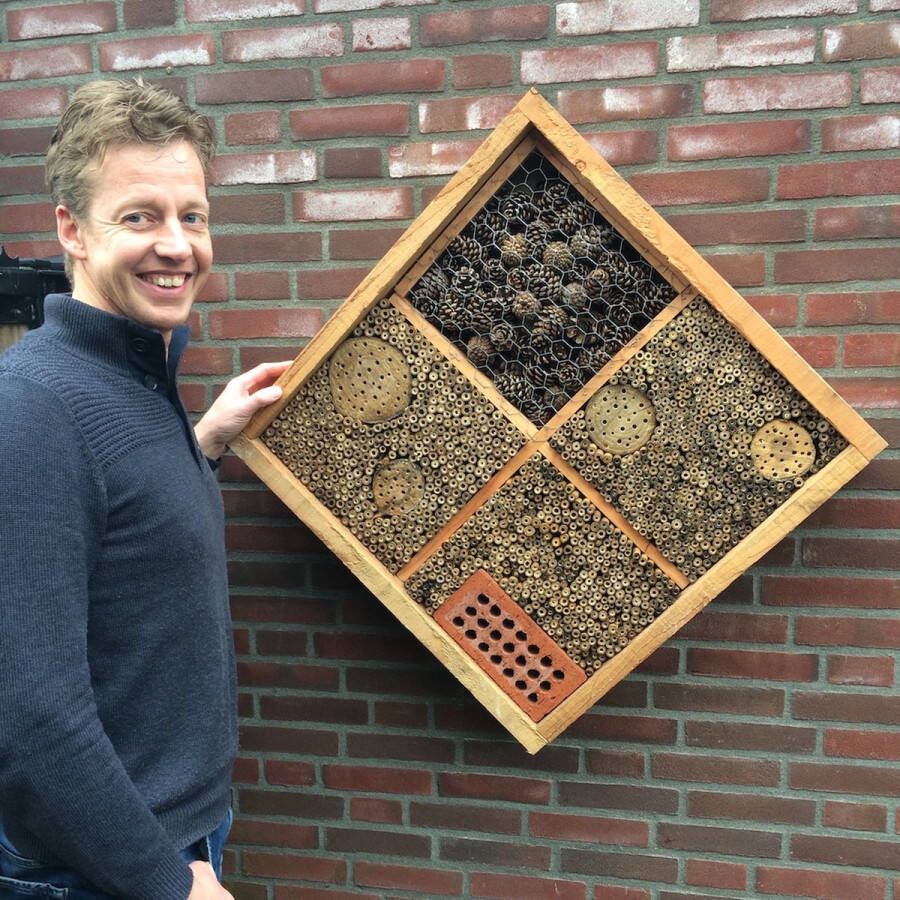 Bijenhotelkopen.nl Insectenhotel Andrena