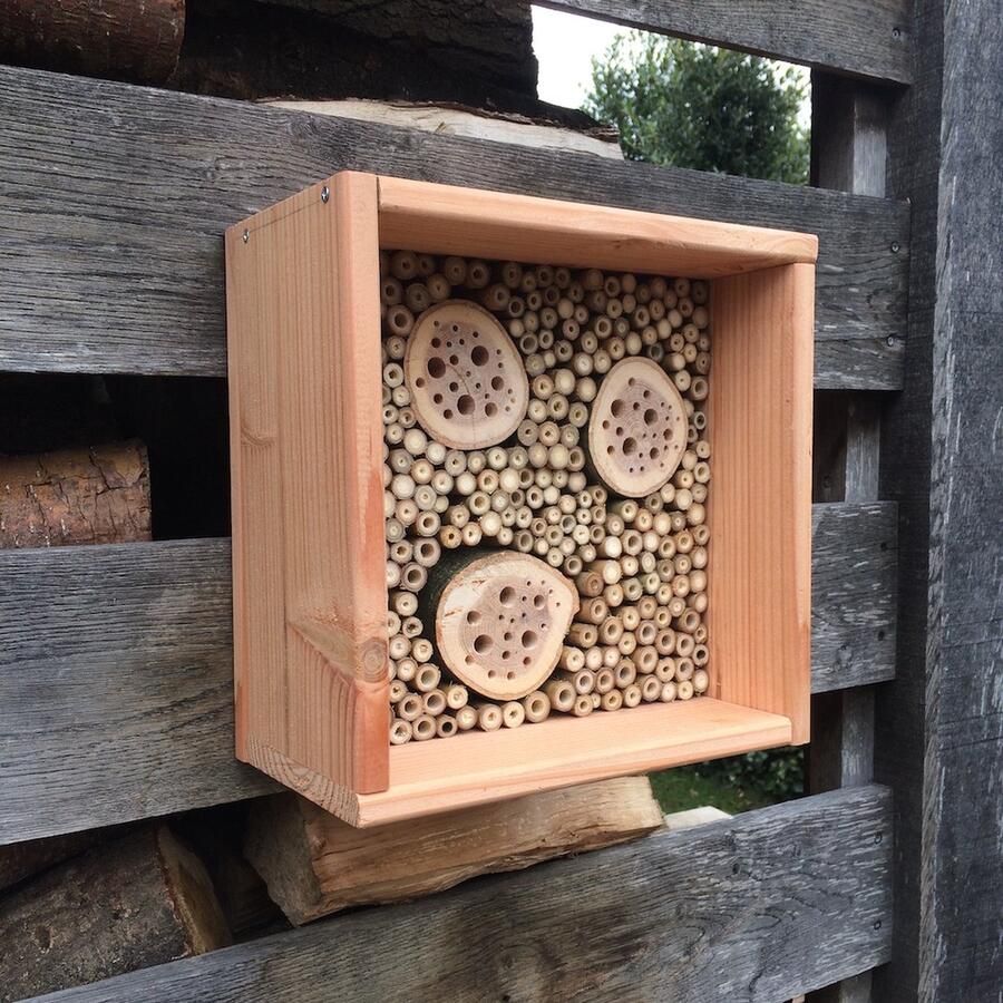 Bijenhotelkopen.nl Insectenhotel BeeLittle
