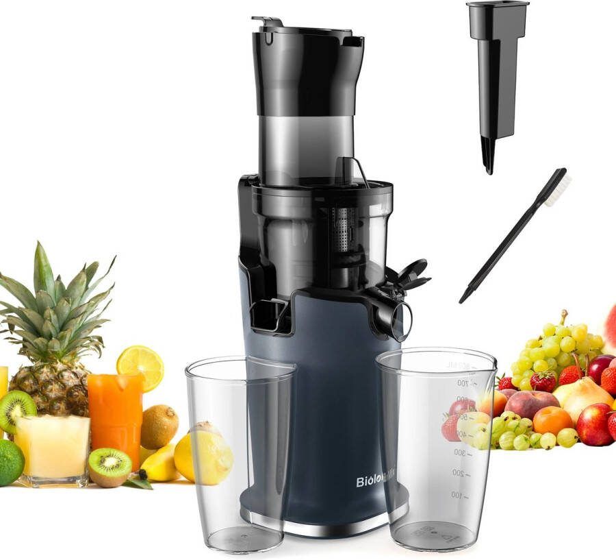 Biolo Quihob Slowjuicer Sapcentrifuge Voor Fruit en Groente 800ML 200W Koude Pers Juicer Zwart