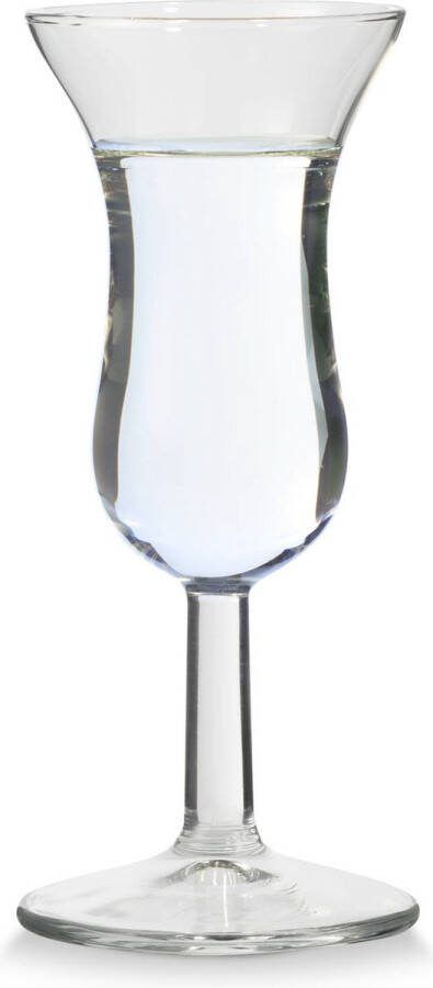 Blokker borrelglazen set van 2 5cl