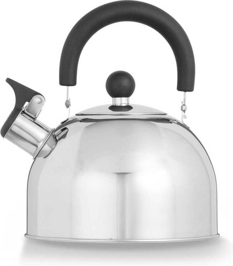 Blokker Fluitketel 2 Liter RVS