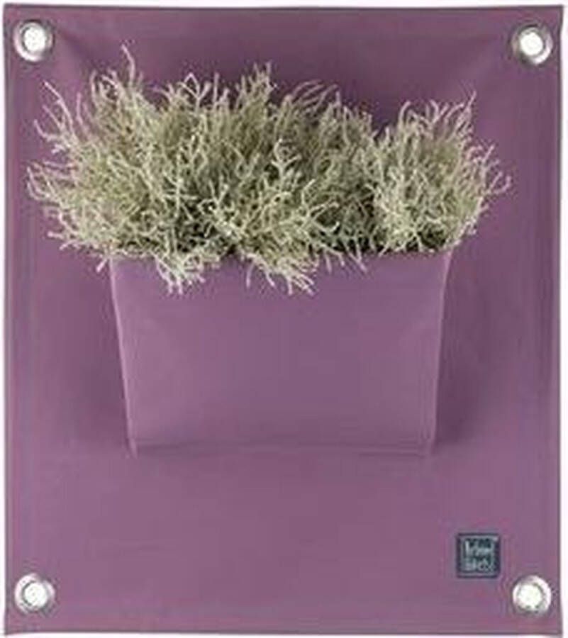 Bloomingwalls Plantenbak The Green Pockets AMMA1 Lavender