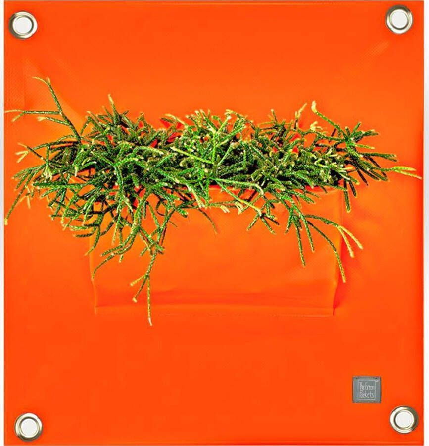 Bloomingwalls Plantenbak The Green Pockets AMMA1 Orange