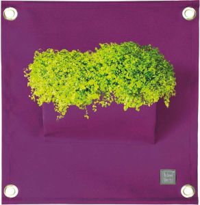Bloomingwalls Plantenbak The Green Pockets AMMA1 Purple
