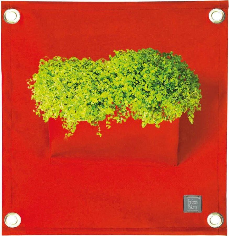 Bloomingwalls Plantenbak The Green Pockets AMMA1 Red
