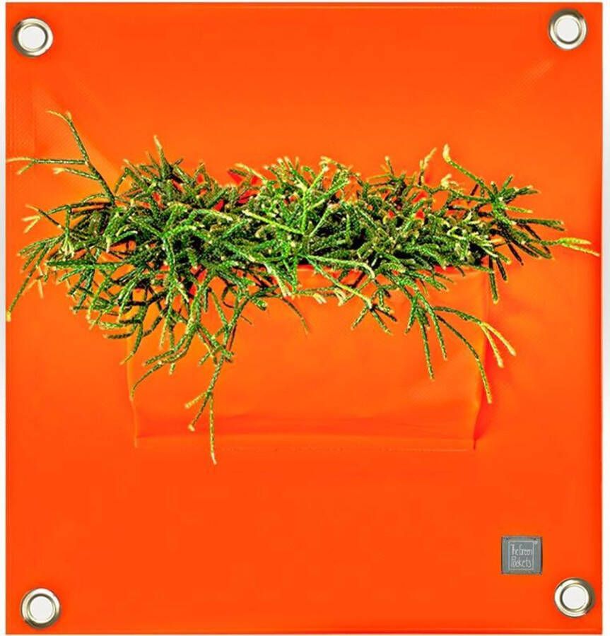 Bloomingwalls Plantenbak The Green Pockets PEVA1 Oranje