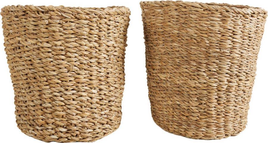 Bloomique Gevlochten Plantenpot Coco Set van 2 Potten Beige Zeegras Mand voor Planten Binnen en Buiten H22x Ø21