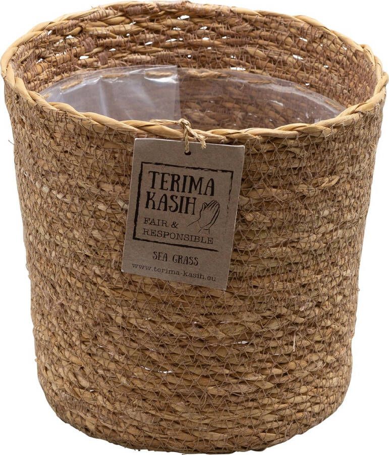 Bloomique Mand Lux – Zeegras – Terami Kasih – ⌀14 cm – 10-15 cm