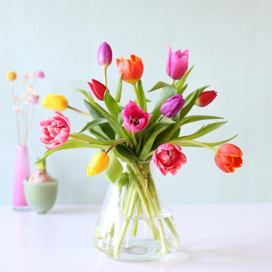 Bloompost.nl Brievenbus tulpen mix BloomPost Brievenbusbloemen