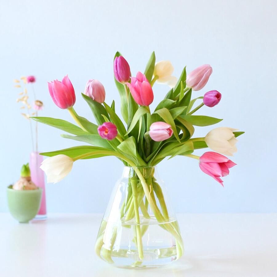 Bloompost.nl Brievenbus tulpen pastel BloomPost Brievenbusbloemen