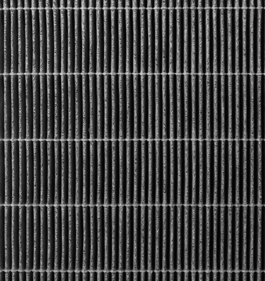 Blueair Deeltjes + koolstoffilterset voor DustMagnet 5210i 5240i 1 stuks