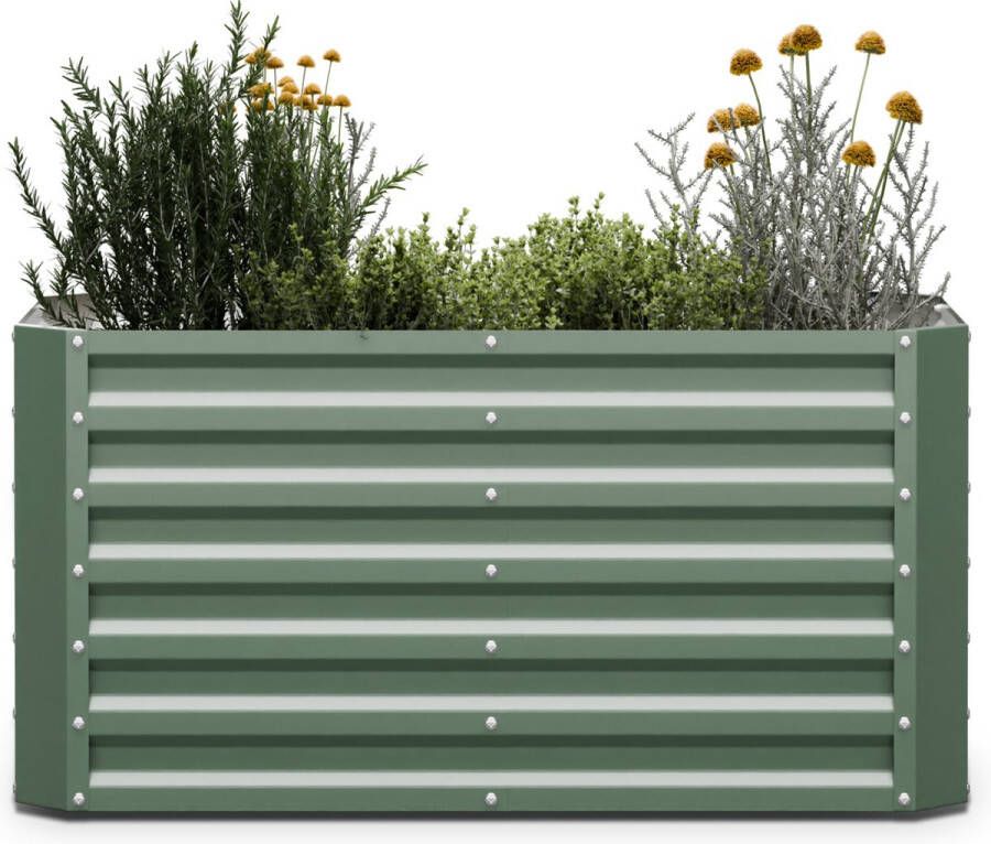 Blumfeldt High Grow Straight hoge kweekbak 120x60x60 cm Stalen golfplaat Moskleur