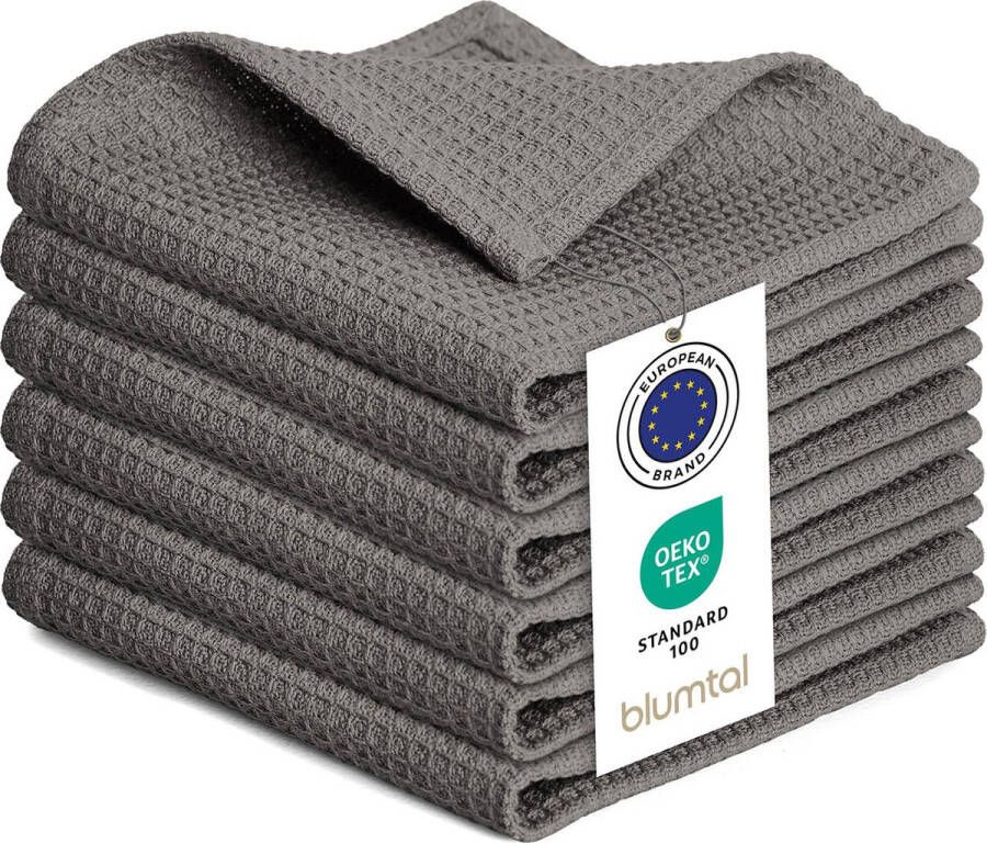 Blumtal Theedoeken 30x30 cm- Set van 10 Theedoeken katoen 100% Keukendoeken wasbaar op 60 °C Keuken handdoeken katoen Keukendroogdoeken Wafeldoeken Vaatdoeken Antraciet